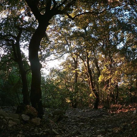 Appartamento A Pula In Zona Residenziale Dış mekan fotoğraf