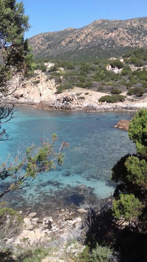 Appartamento A Pula In Zona Residenziale Dış mekan fotoğraf