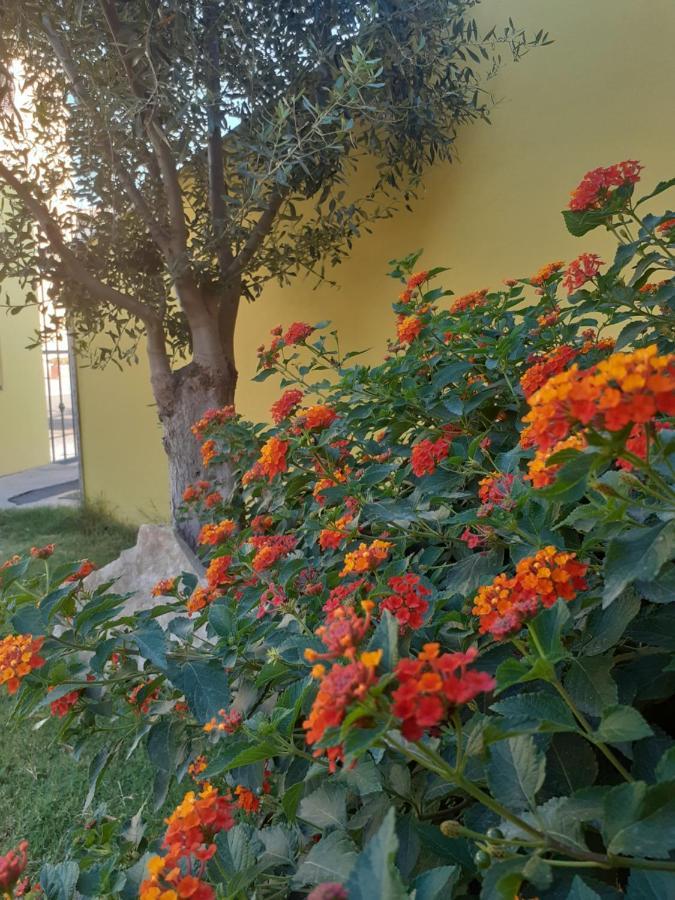 Appartamento A Pula In Zona Residenziale Dış mekan fotoğraf