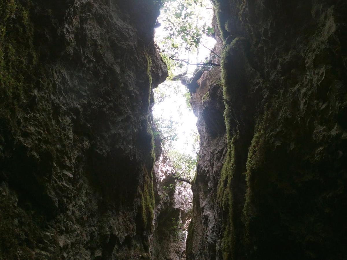 Appartamento A Pula In Zona Residenziale Dış mekan fotoğraf