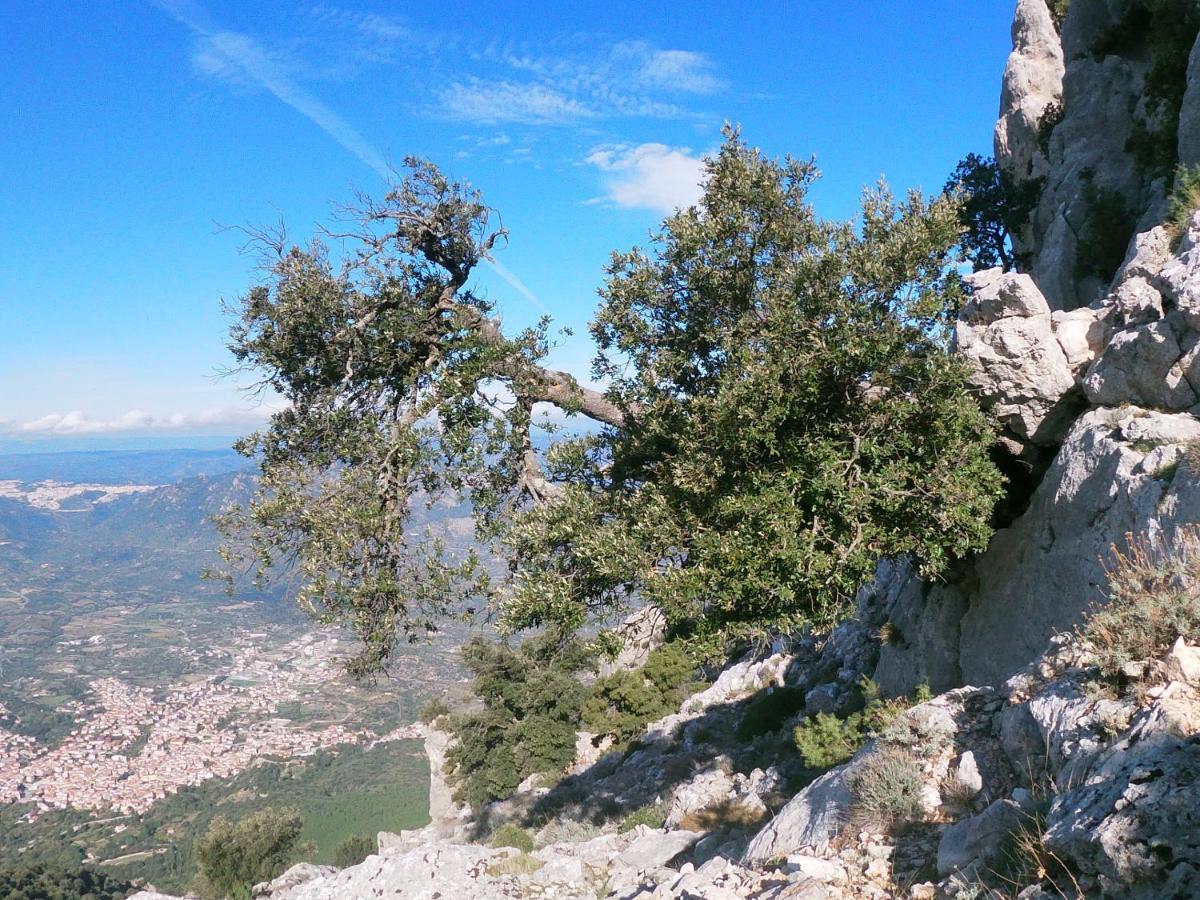 Appartamento A Pula In Zona Residenziale Dış mekan fotoğraf