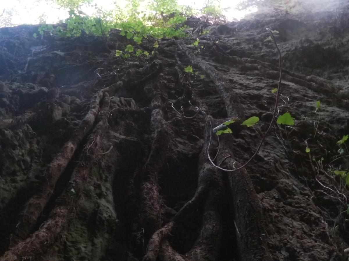 Appartamento A Pula In Zona Residenziale Dış mekan fotoğraf